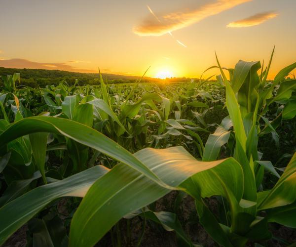 La transition énergétique dans le monde agricole 