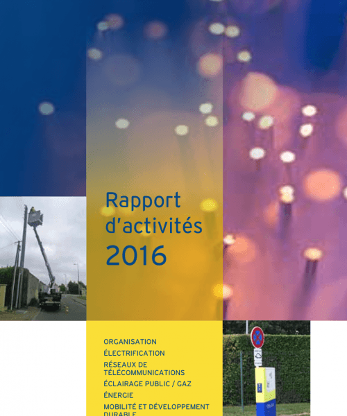 Rapport d'activités 2016